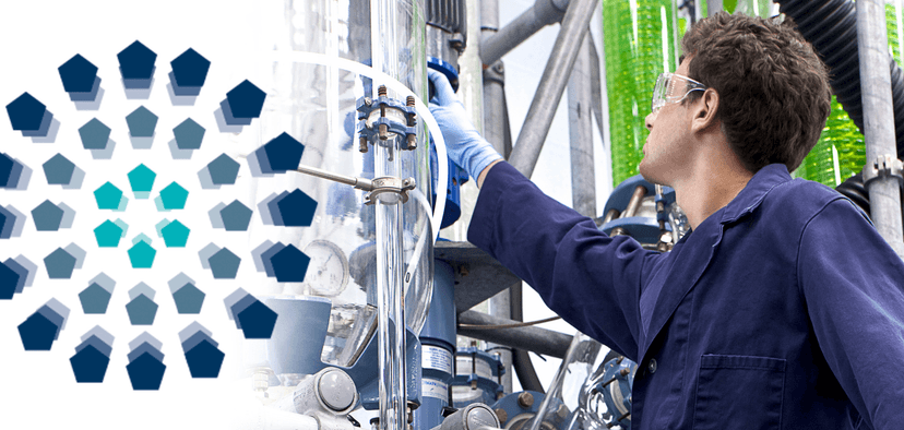 Research team at work